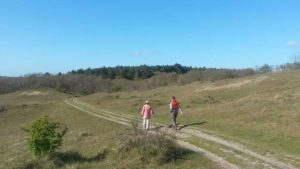 wandelen in de duinen